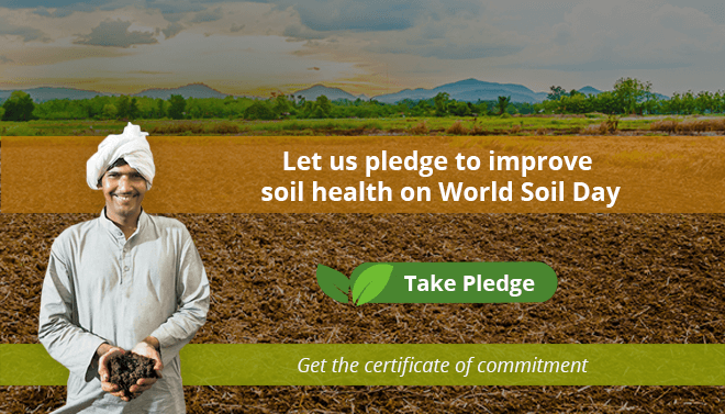 soil